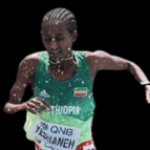 Profile picture of Meseret YESHANEH