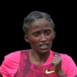 Profile picture of Kibru Mengistu