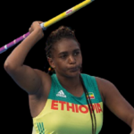 Profile picture of Tadesse Jilo